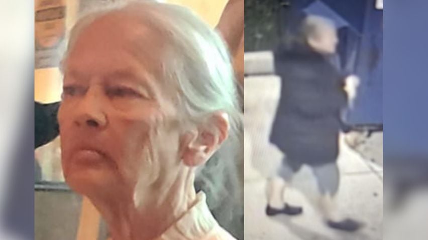 Photos of a 74-year-old pistillate who is missing, released by police