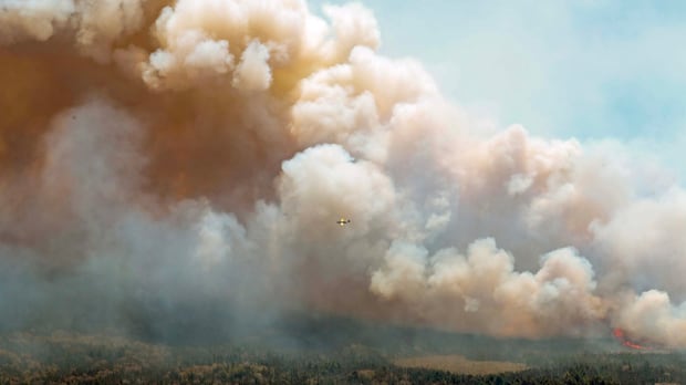 $25K fine will not undo damage of massive N.S. wildfire, says judge as man sentenced