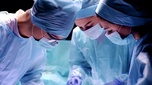 'Our student's first patient': Why some experts say working with cadavers is essential