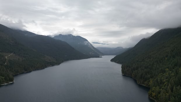 An aerial view of Chehalis Lake near Harrison Hot Springs, B.C. Chehalis Lake, B.C.