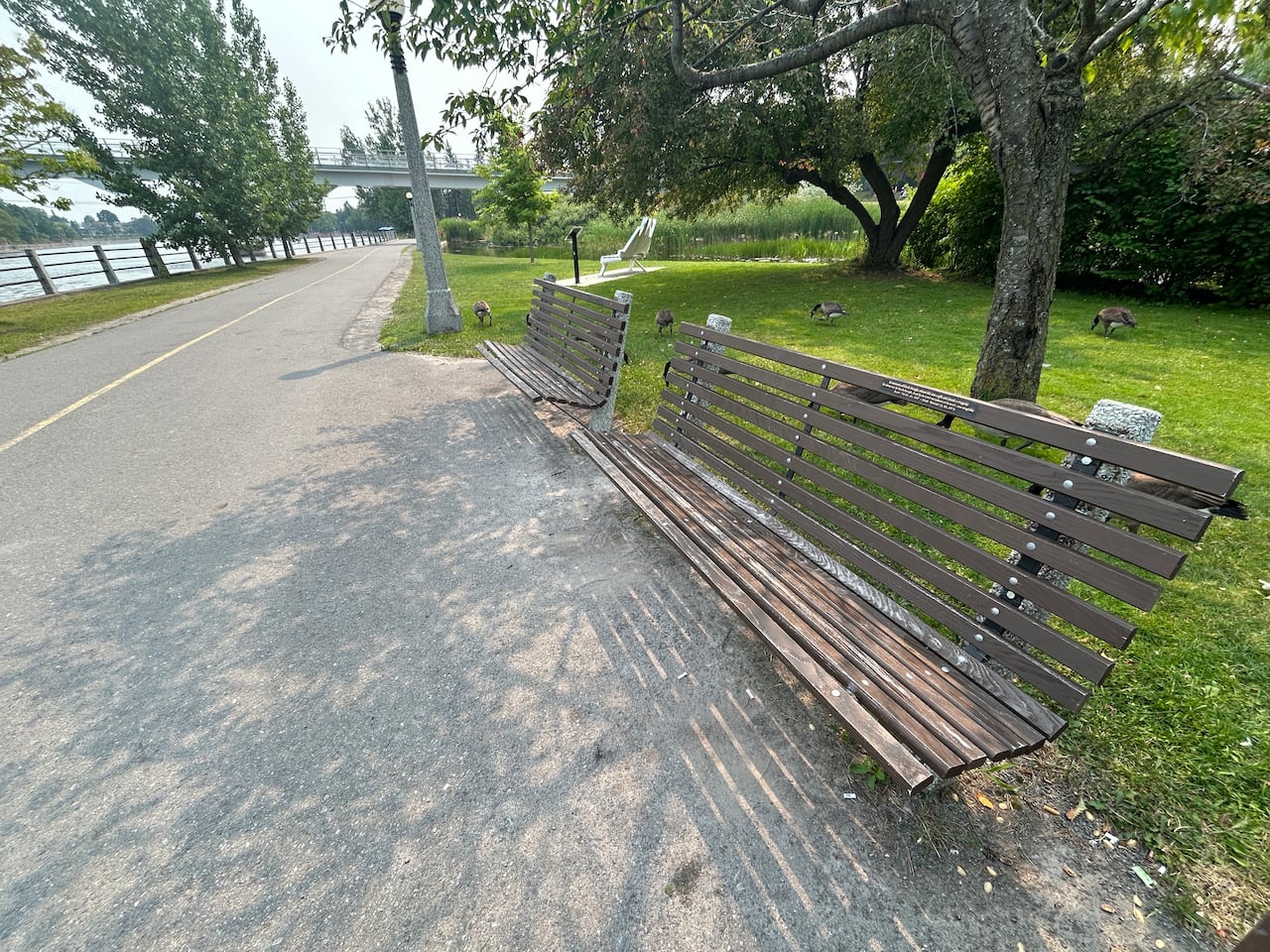 'Initially I was opposed to the idea. It felt like picking at a scab,' Janet Hough says of the bench.