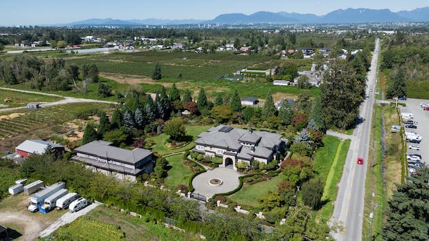 Quw’utsun Nation calls politicians' comments on title ruling 'misleading,' 'inflammatory'