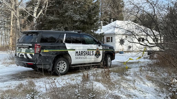 Man, 68, charged with murder in Snowden, Sask., in alleged domestic homicide