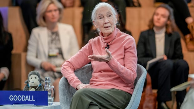 An older woman in a pink sweater sits in a chair and raises her arm while speaking to a crowd.