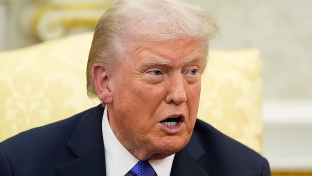 A headshot of President Donald Trump