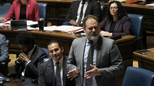 A man in a grey suit speaks during a government legislative session.