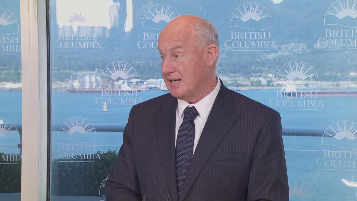Experts identify hallmarks of foreign actors behind B.C. cyberattacks: minister | CBC.ca