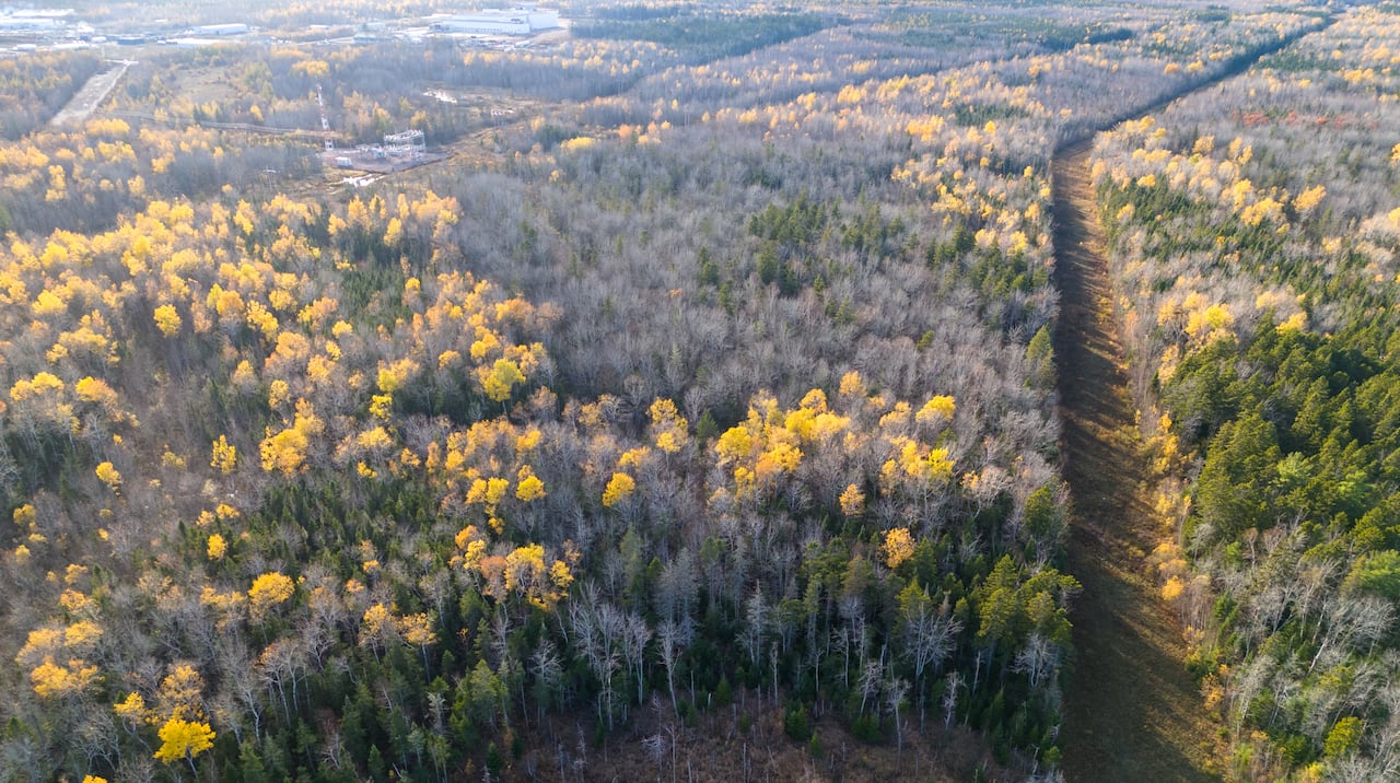 An aerial presumption of a treed country with 2 lines of cleared areas cutting through, and an electrical substation disposable connected apical left, arsenic good arsenic roads and buildings.