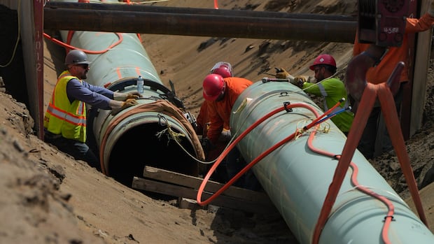 Workers lay pipe during construction of the Trans Mountain pipeline expansion on farmland, in Abbotsford, B.C