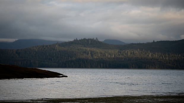 3 Indigenous-led marine refuges established off B.C.’s North Coast