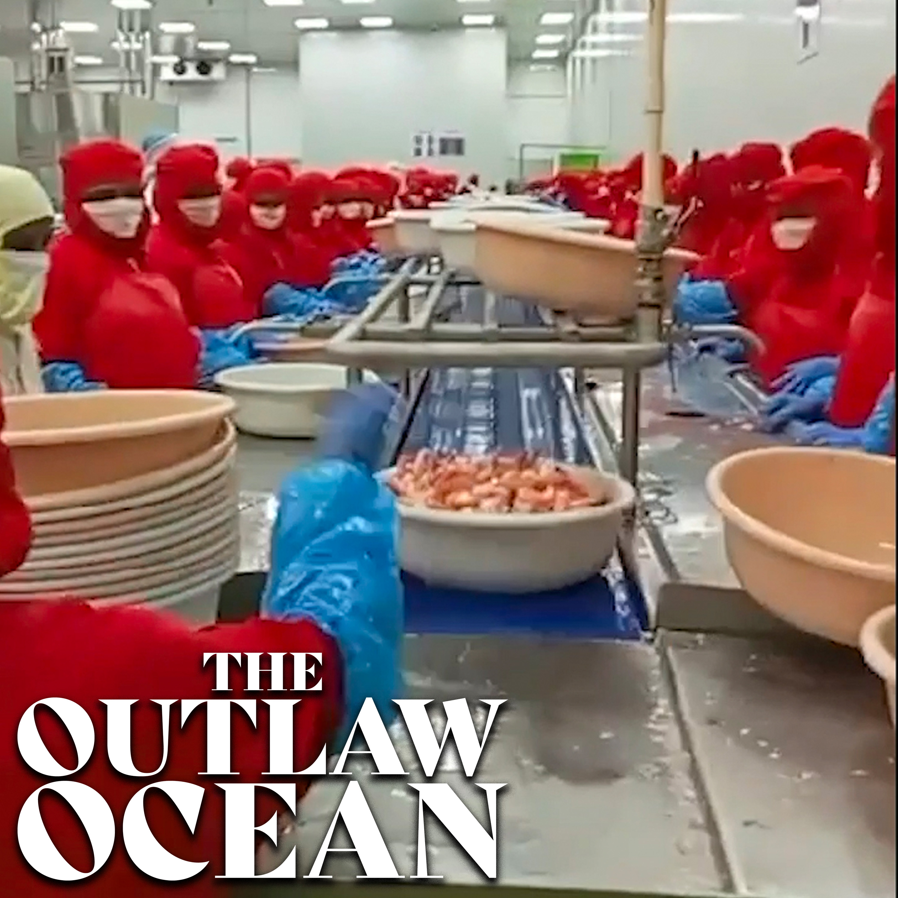 S2 E5: The shrimp factory whistleblower