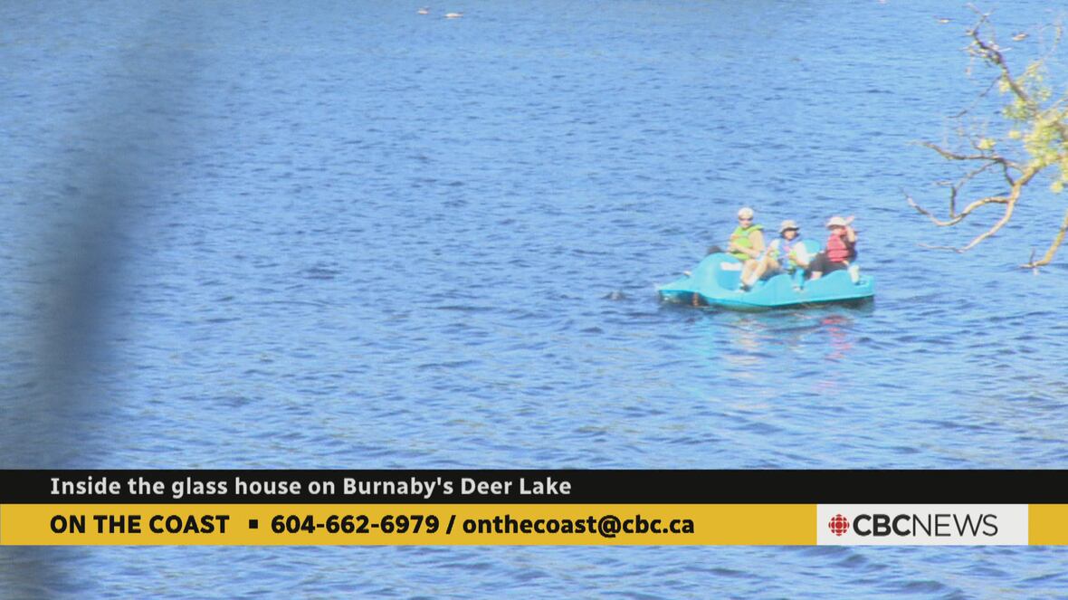 CBC BC News Morning Module for June 14 | CBC.ca
