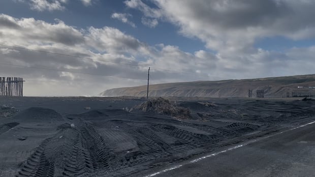 Communities on Newfoundland's Irish Loop take stock after weather bomb