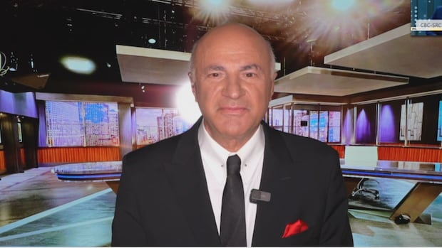 Why Kevin O'Leary wants to buy TikTok