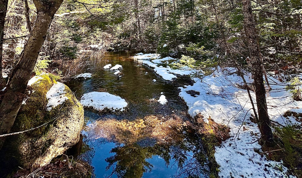 Image shows snow melting into a creek