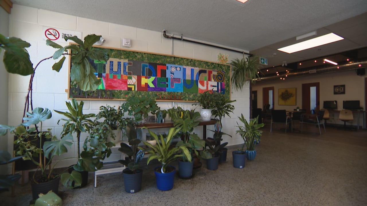 Inside a youth centre, a colourful sign reads "The Refuge." The sign is surrounded by several potted plants
