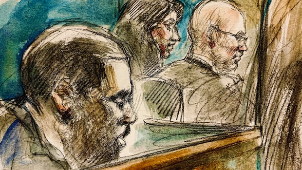 Mother of man charged in killings of 2 Toronto strangers tells courtroom he was not 'in his right mind' | CBC News