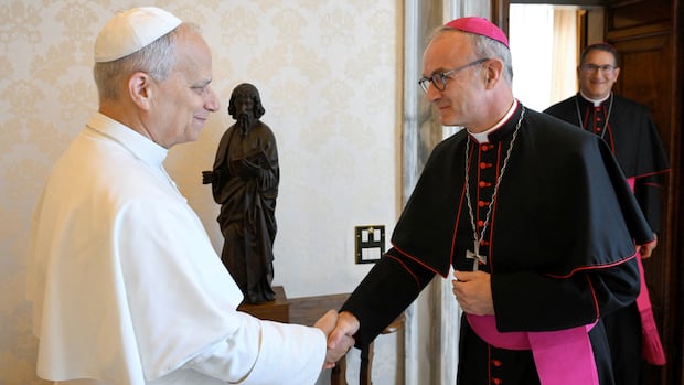 The Vatican’s report on abuses criticizes the ‘gesture’ of the victims, and Italy’s response