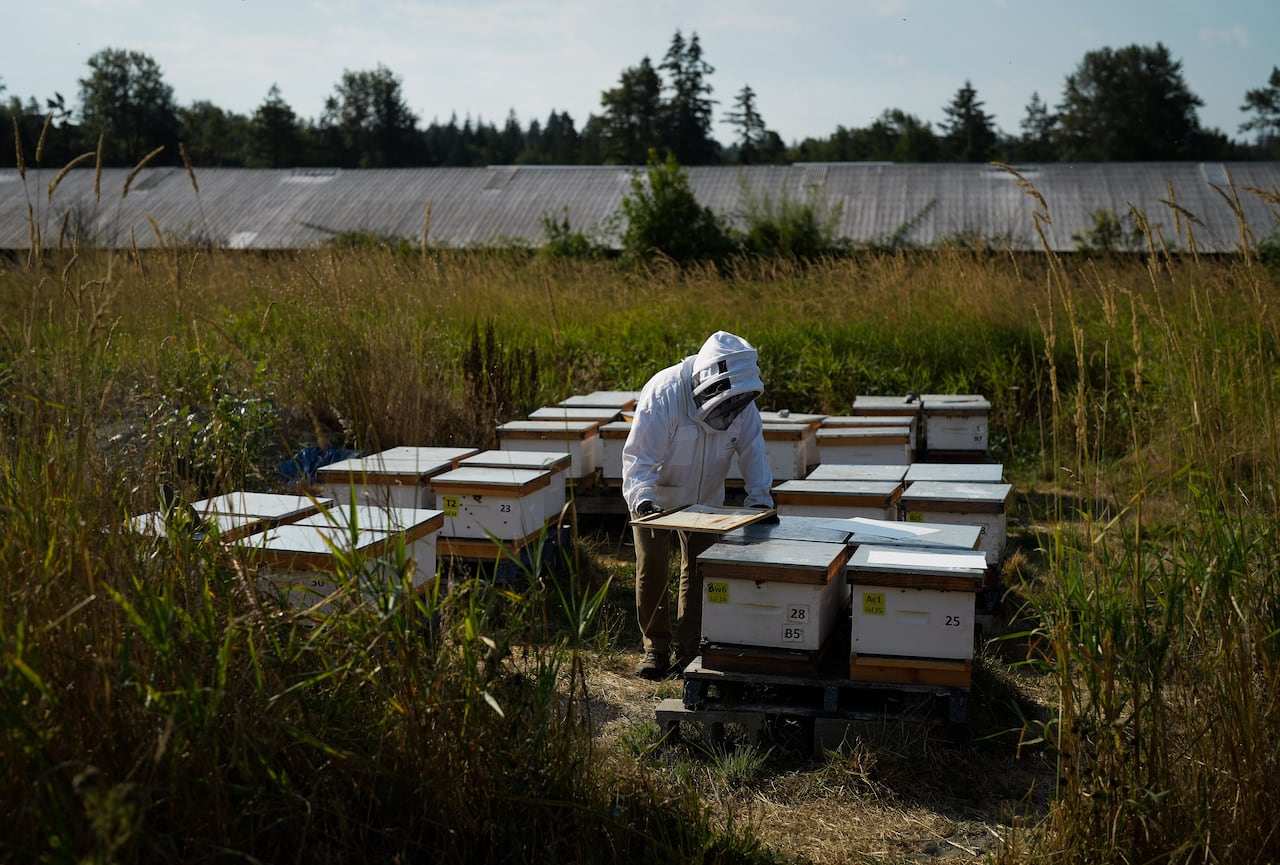 Uma pessoa de terno branco trabalha com uma caixa em um campo.
