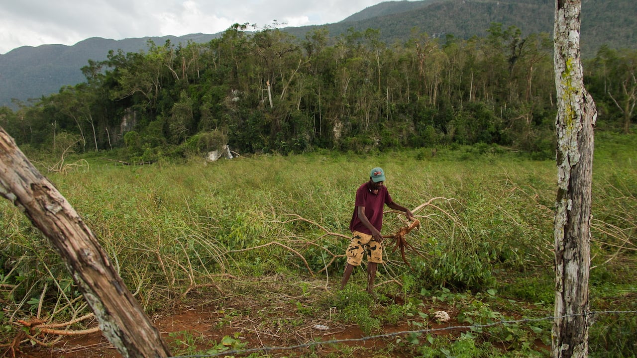 A farmer holding broken branches in a ruined field