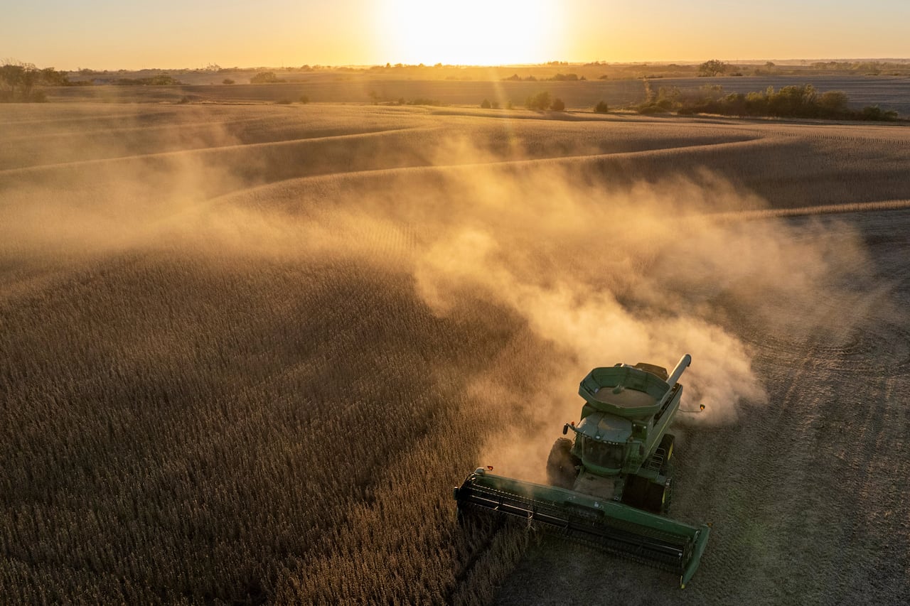 A combine viewed from above in a soybean field, with dust in the air and the sun on the horizon