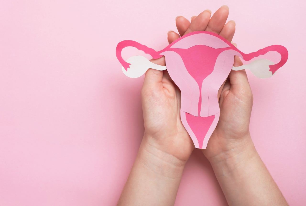 Woman hands holding decorative model uterus on pink background.