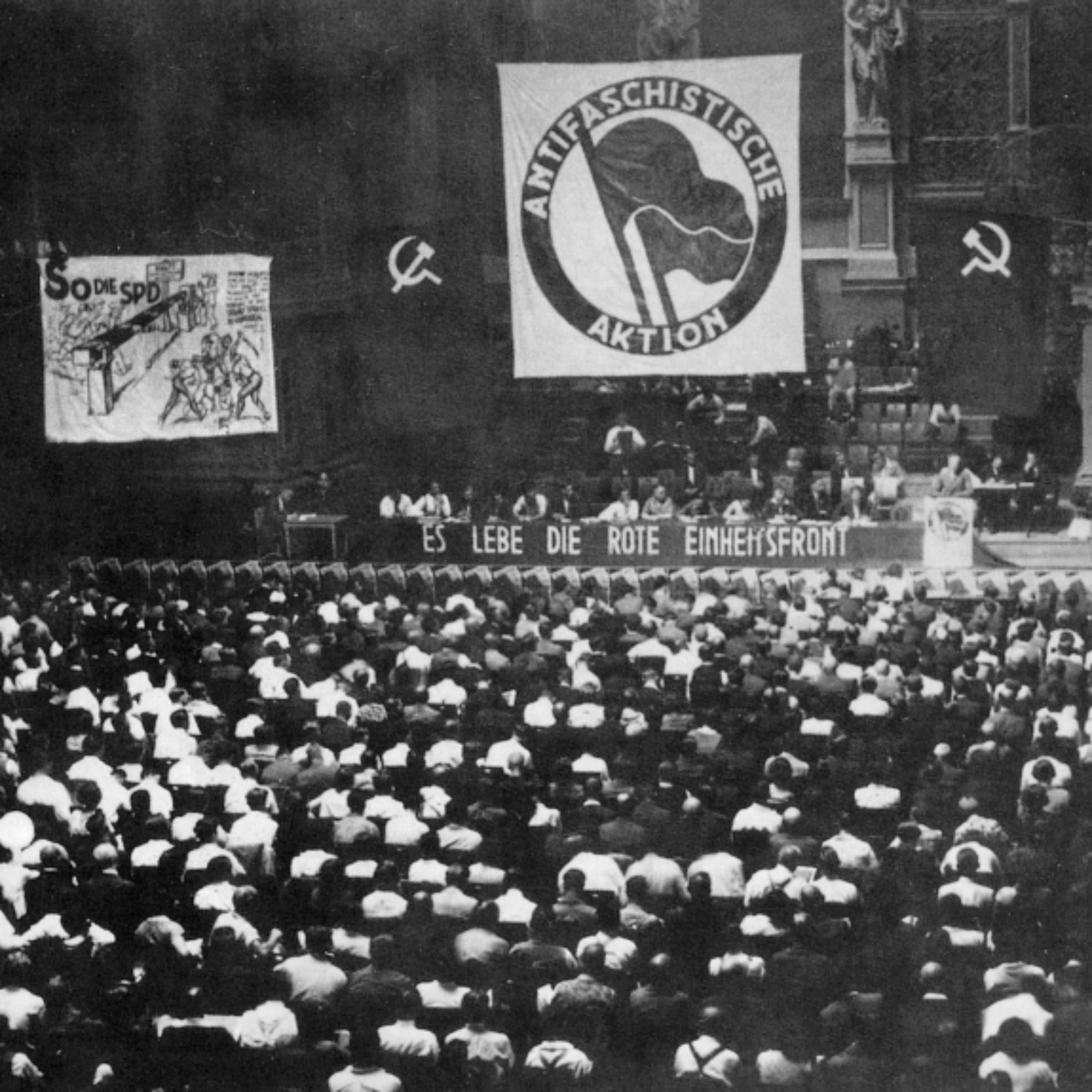 What exactly is Antifa?