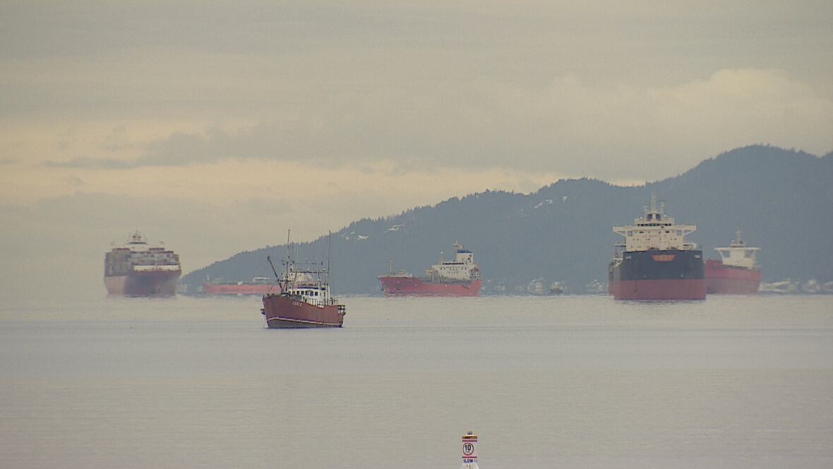 image of British Columbia's Unique Tariff Situation Amid U.S. Trade Concerns