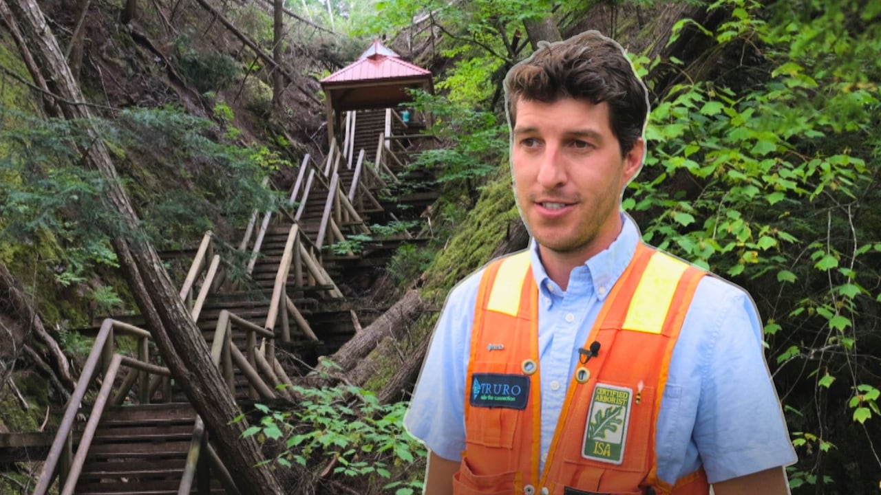 Truro's Victoria Park on the mend | CBC.ca