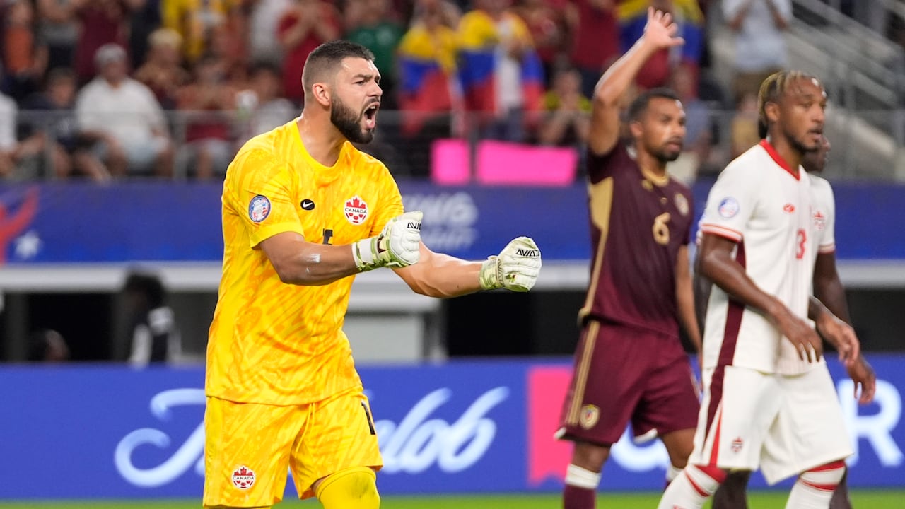 Canadian male soccer goalkeeper.