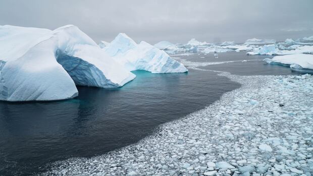 Antarctica Antarctica