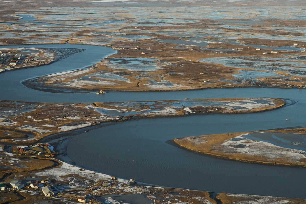 A colony by a stream winding done the tundra, seen from above.
