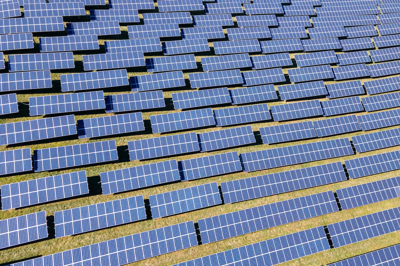 Meerdere zonnepanelen bedekken een veld.