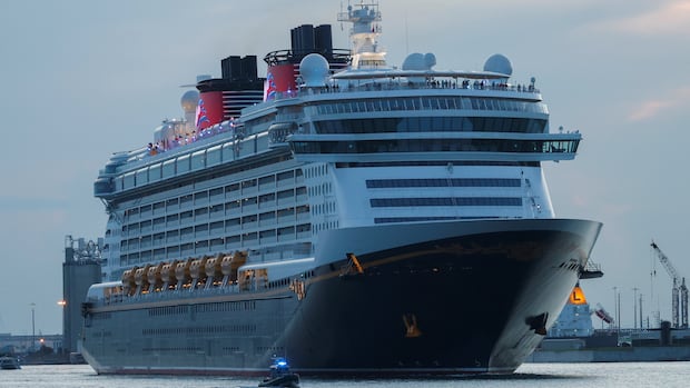 A child fell off a Disney Cruise Ship after her mother told her to pose for a photo, police said