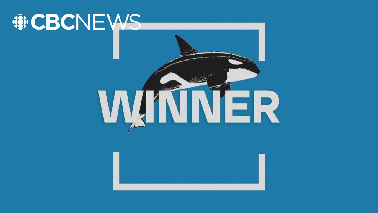 Orca wins The Search for British Columbia's Best Symbol