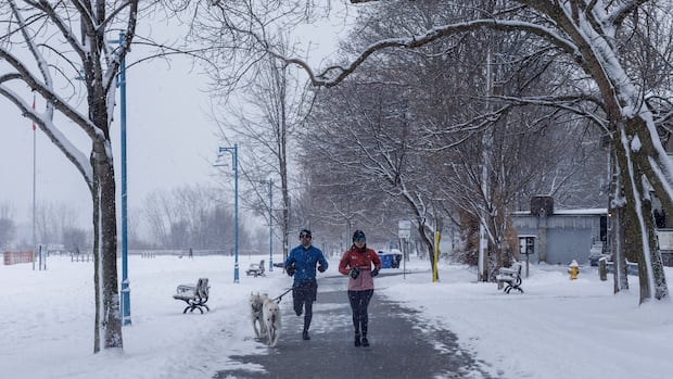 Slow down, take it easy': Toronto police warn drivers to be vigilant on slushy roads | CBC News
