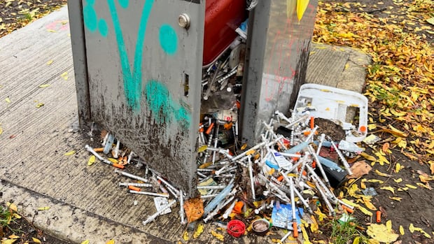 Broken disposal box, loose syringes leaves Riverside park-goer concerned | CBC News
