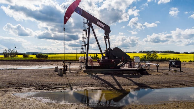 Pumpjack in front of yellow canola field