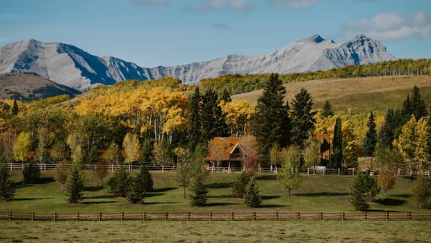 The Stampede Ranch is a 135-year-old cattle ranch once run by Calgary Stampede founder Guy Weadick. The property, spanning nearly 190 acres, includes agricultural land, event operations, and livestock. A log home sits among trees with mountains behind it and pasture in the foreground.