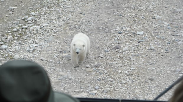 Visitors spent record amount in province in 2024, but downturn expected: Travel Manitoba