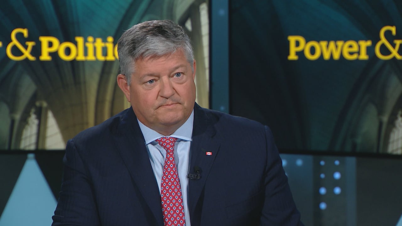 Conservative MP Scott Aitchison sitting connected the acceptable of CBC's Power & Politics.