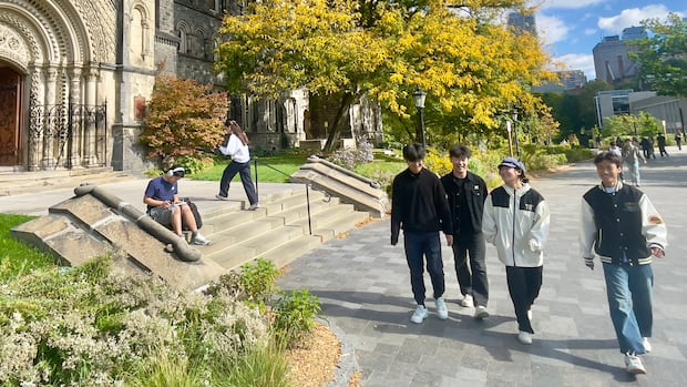 More young Canadians are tapping AI for learning, even when concerned about it | CBC News