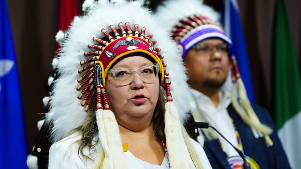 Indigenous advocates eager to see $2.8B in housing money promised in budget