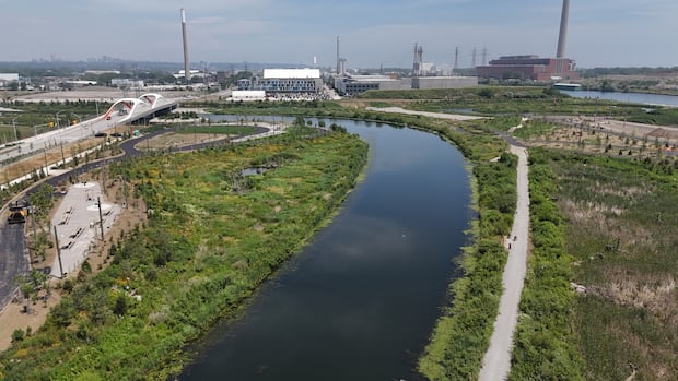 Toronto's Don River sends 500 billion microplastics into Lake Ontario each year: study | CBC News