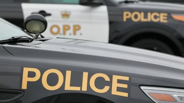 Simcoe man arrested for mother's murder, OPP say | CBC News