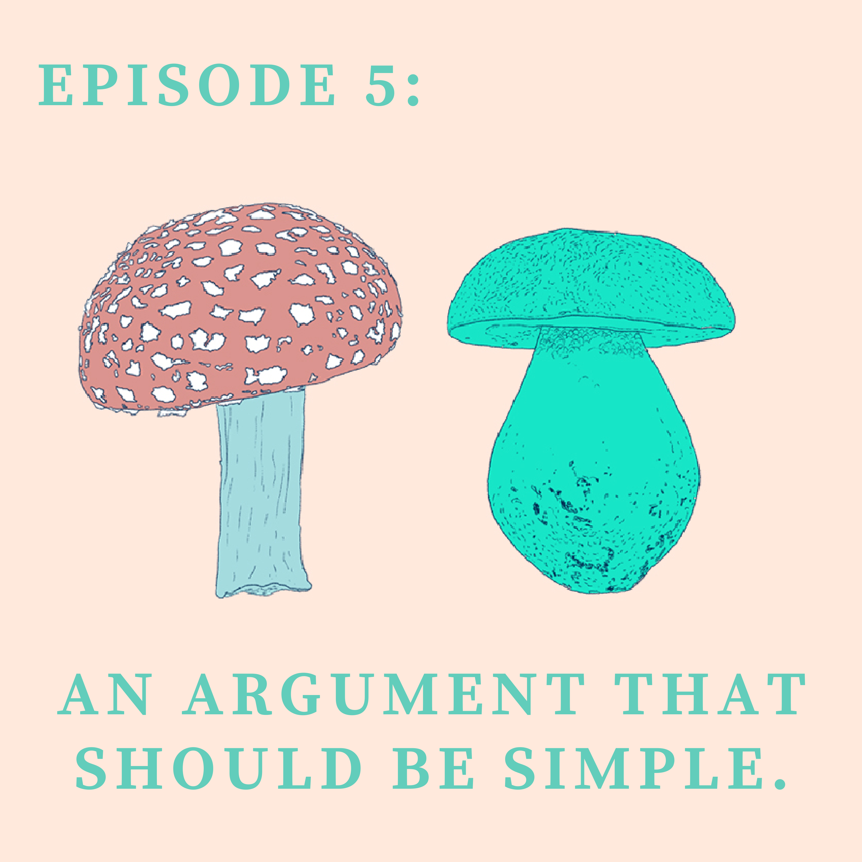 Episode 5: An Argument That Should Be Simple.
