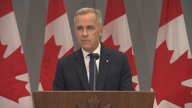A man stands at a podium in front of Canadian flags.