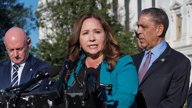 Who is Adelita Grijalva, and what should she do with the epsterin files? Who is Adelita Grijalva, and what should she do with the epsterin files?