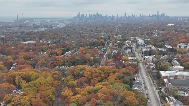 A view of Toronto's east end
