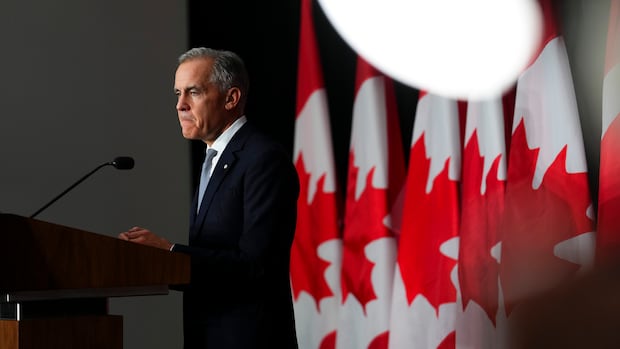 ANALYSIS | Carney's talk of 'sacrifices' suggests Canadians could soon face those tough choices | CBC News